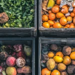 Four crates filled with discarded food, including wilted greens, overripe oranges, root vegetables, and spoiled fruits, highlighting the issue of food waste.
